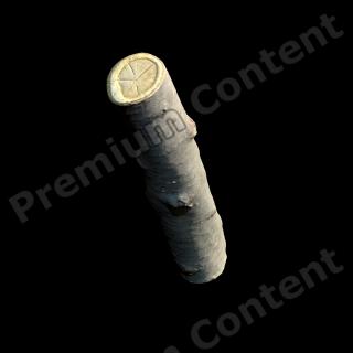  3D Scan of Tree Wood #7